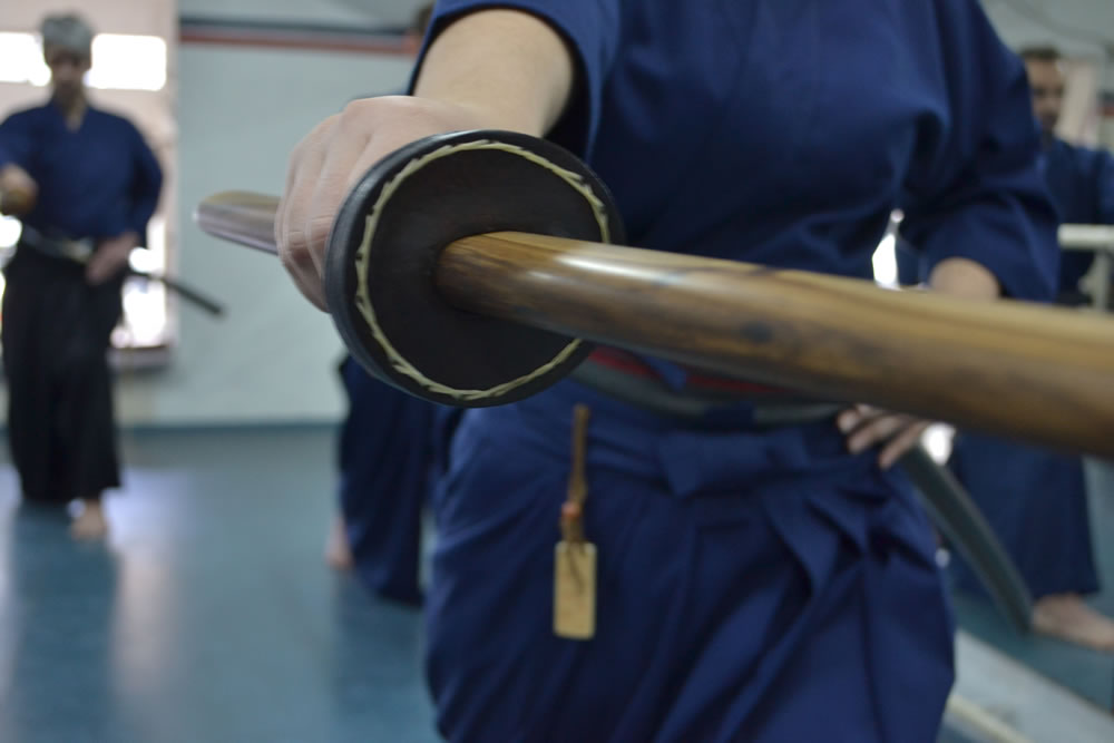 Kenjis (Alumnos) de Chikara Dojo